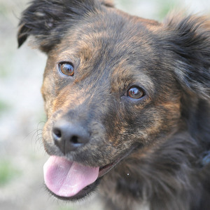 Fundraising Page: Bill Barker